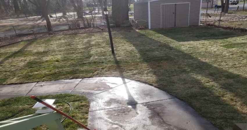 Yard Debris in Belmont