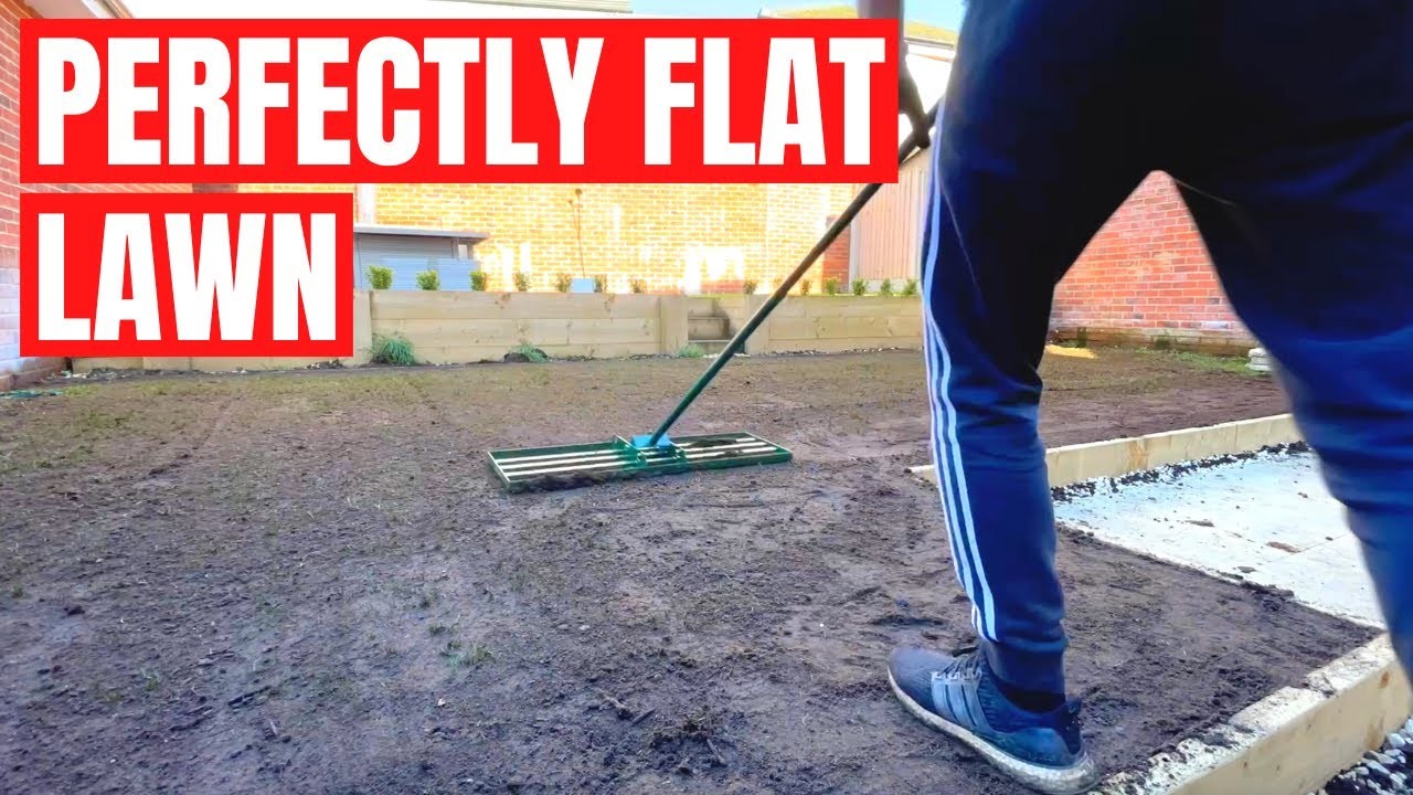 Yard Debris in Belmont